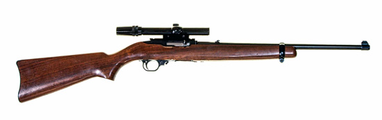 Ruger Model 10/22 Standard Carbine with Bushnell 3x-7x Custom .22 Scope.